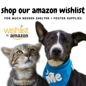 Dog rescue wish list amazon wish list dog supplies https://www.amazon.com/hz/wishlist/ls/CO3Y4D01ELLY?ref_=wl_share